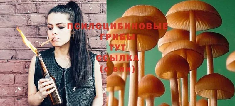 Галлюциногенные грибы Magic Shrooms  Зубцов 